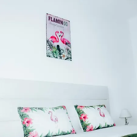 Flor Do Mar Apartament *